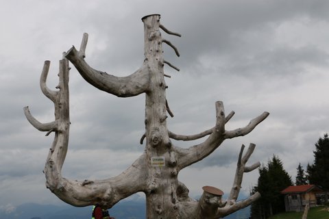 randonn+®e 2014 092