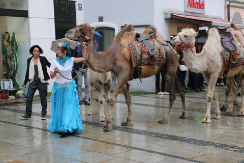 randonn+®e 2014 221